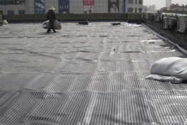 小区屋顶绿化排水板项目
